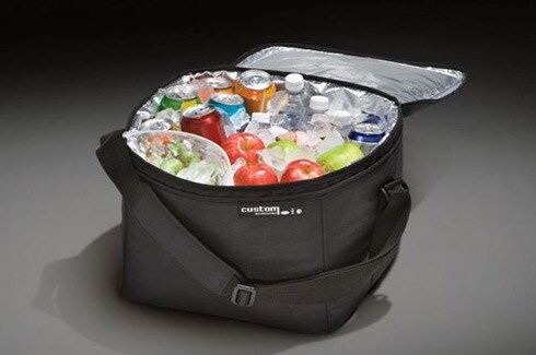 Discover Ford Bronco Accessories in PR, Cargo Organizer Soft Sided Cooler Bag Adjustable